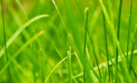 靠谱的交易平台求的短信轰炸机网页版